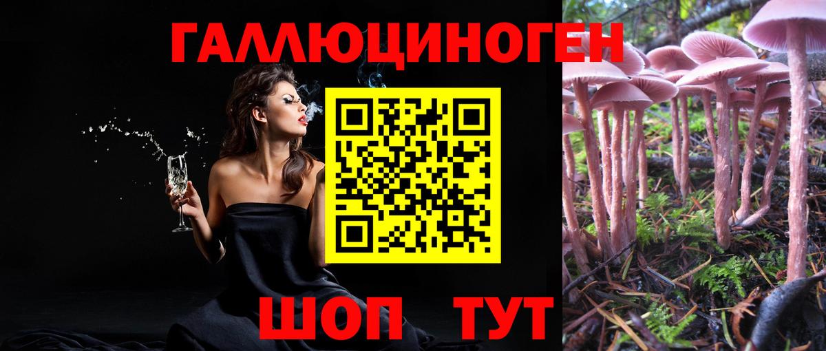 Псилоцибиновые грибы Psilocybe  Вход с VPN  Обь  Галлюциногенные грибы GOLDEN TEACHER 